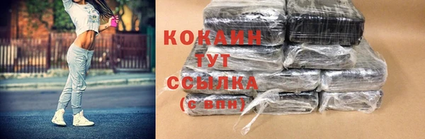 ГАЛЛЮЦИНОГЕННЫЕ ГРИБЫ Каменка