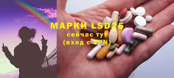 ГАЛЛЮЦИНОГЕННЫЕ ГРИБЫ Каменка