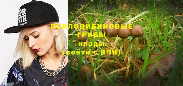 герыч Каменногорск