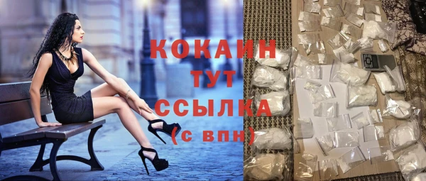 ГАЛЛЮЦИНОГЕННЫЕ ГРИБЫ Каменка