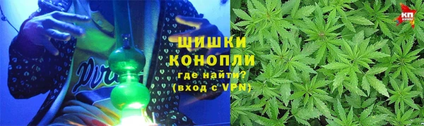 ГАЛЛЮЦИНОГЕННЫЕ ГРИБЫ Каменка
