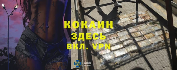 ГАЛЛЮЦИНОГЕННЫЕ ГРИБЫ Каменка